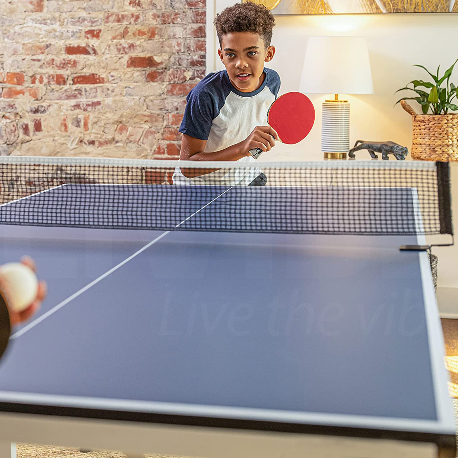 FitnessLab Table Tennis Table Kit Ping Pong Set Retractable Net Rack + 2  bats + 3 balls